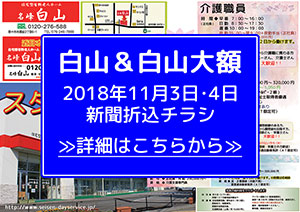 2018年11月新聞折込チラシ情報